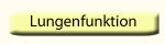 Lungenfunktion