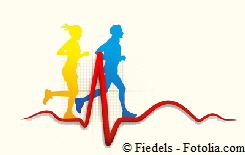 sportekgfll